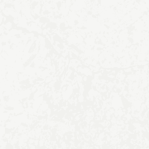 Calacatta Edera 7701