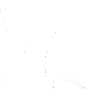 1189 Calacatta Garda