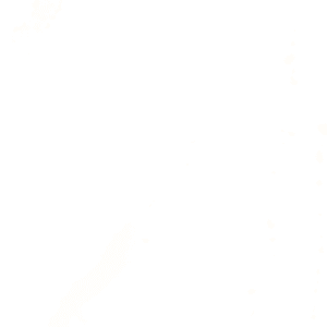 1219 Calacatta Victory