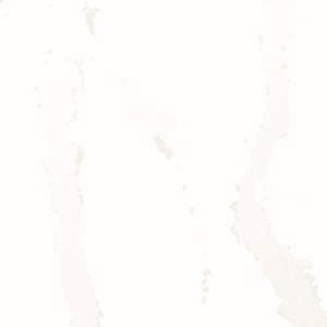 1220 Calacatta Paletino