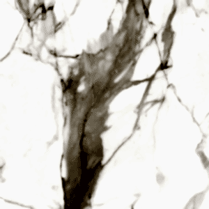 Macchia Porselen Mutfak Tezgahları